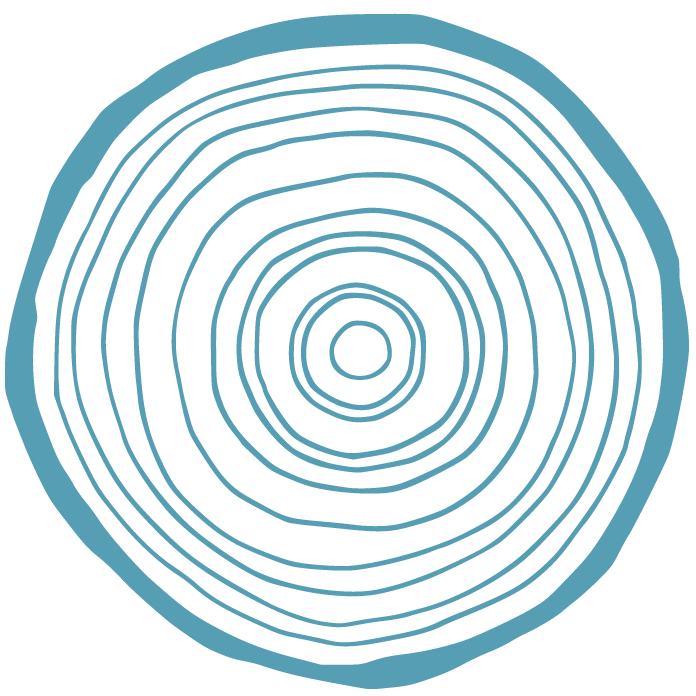 Years of experience visualization